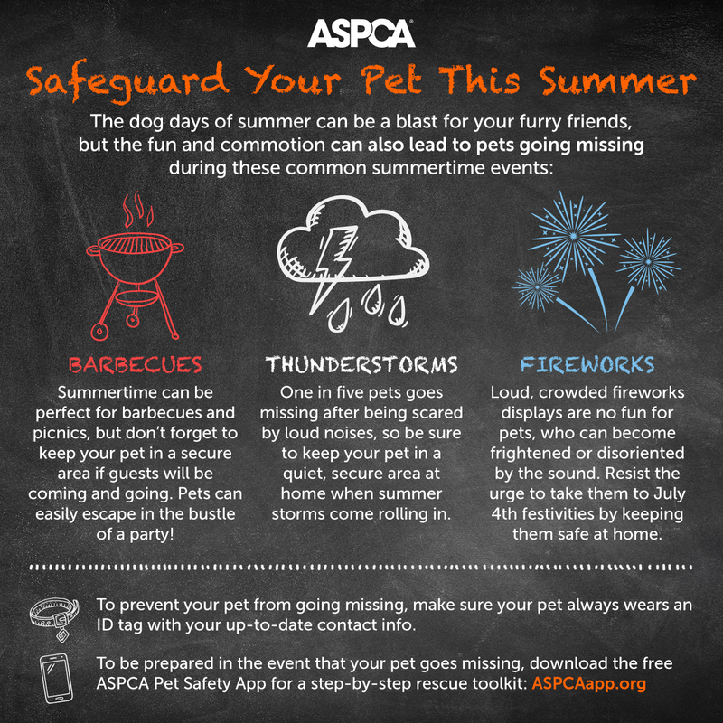 4th of July Pet Safety Tips - ASPCA
