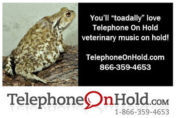 Telephone On Hold Veterinary Music On Hold