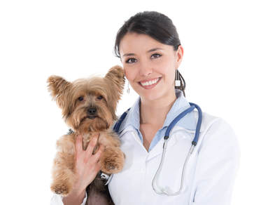 Music On Hold Messaging for Veterinary Offices. Veterinary Music On Hold
