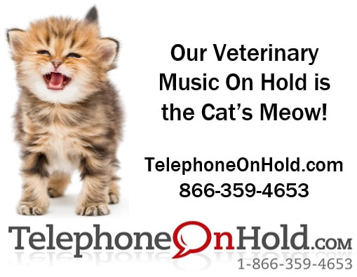 Telephone On Hold Veterinary Music On Hold is the Cat’s Meow!